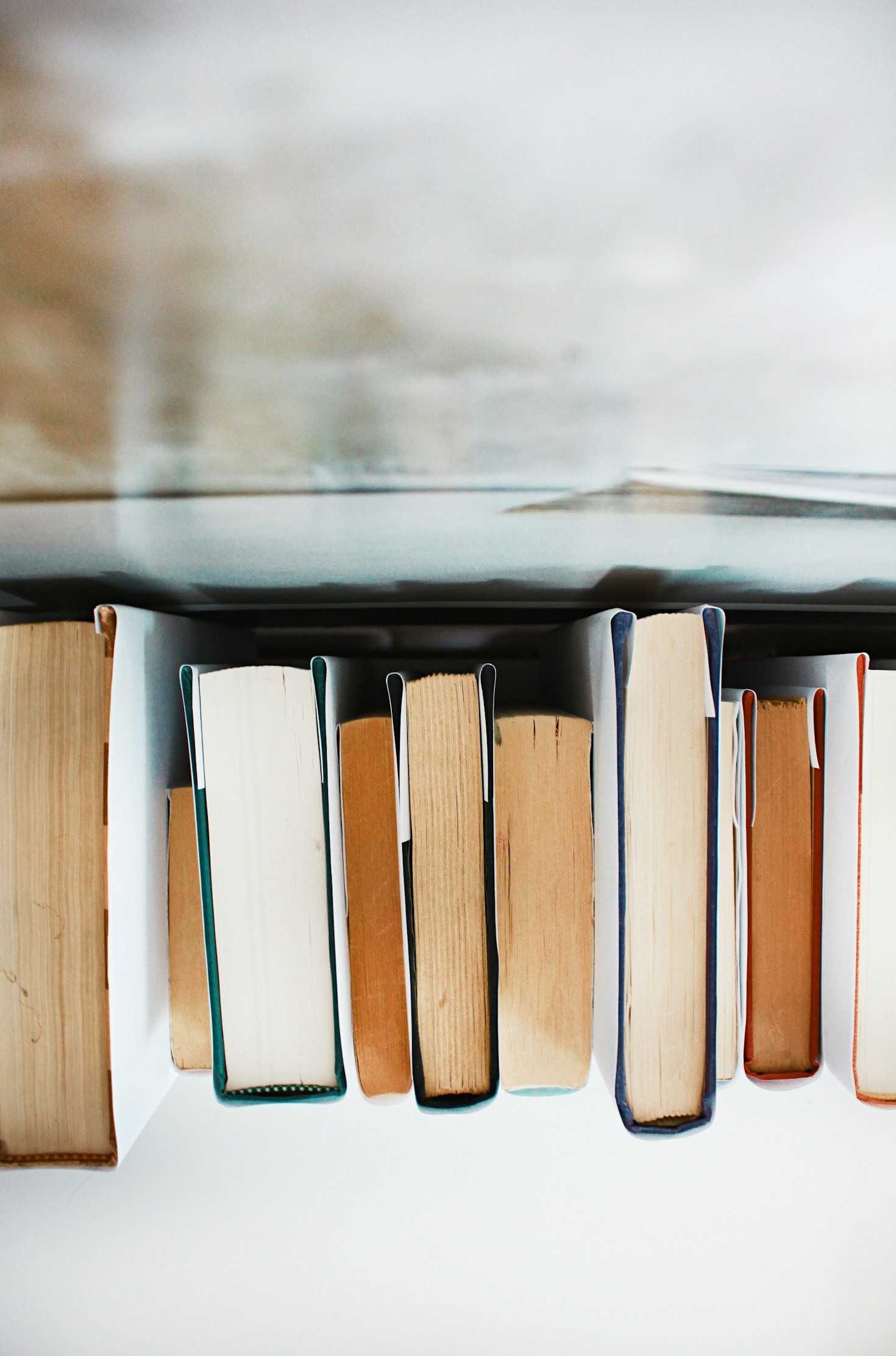 How Books Shape Our Understanding of the World