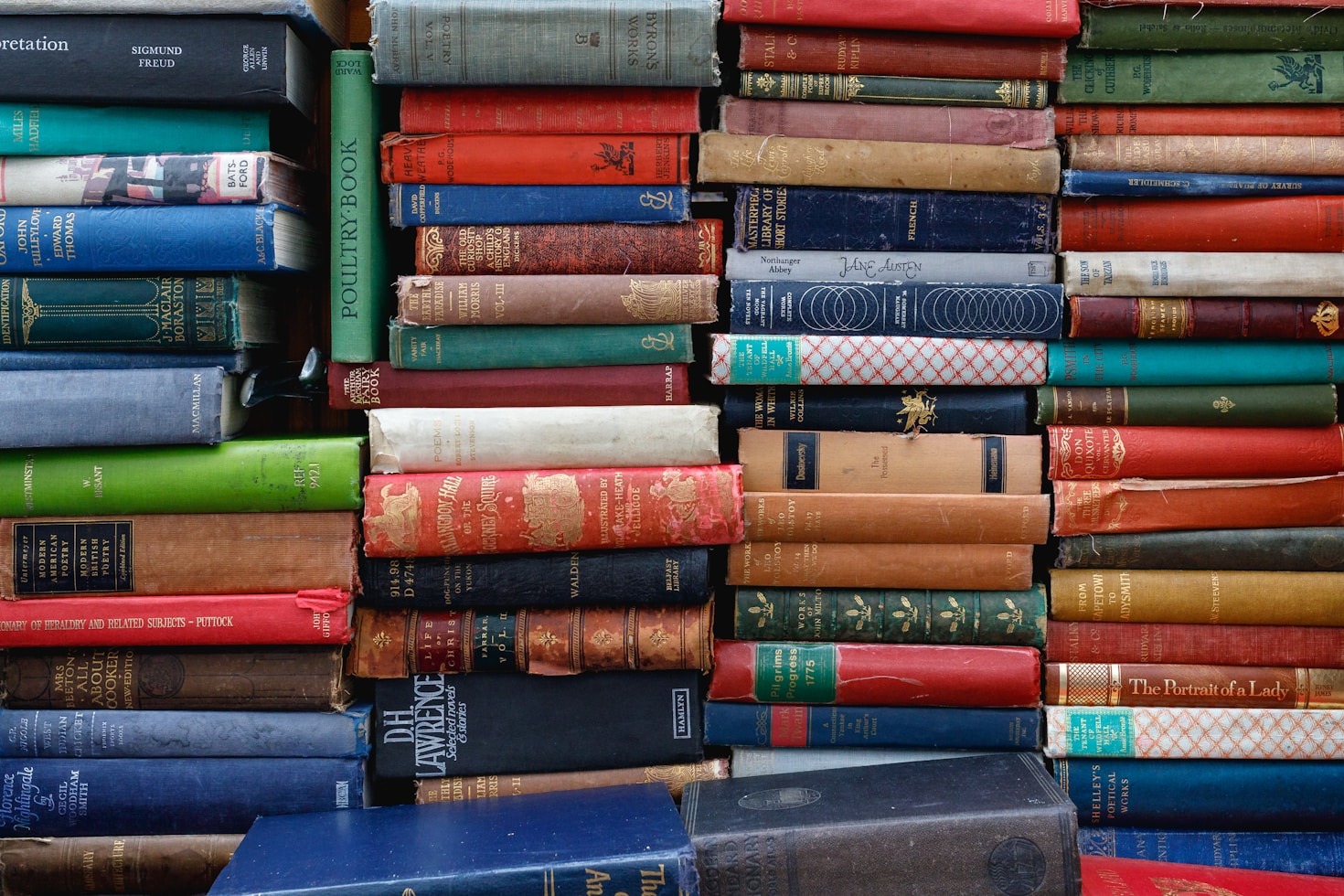 Spotlight on Rising Stars in the Literary World